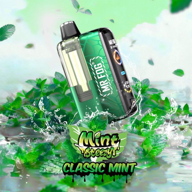 MR FOG SWITCH POD KIT - Mint Steezy Classic Mint - 20mg