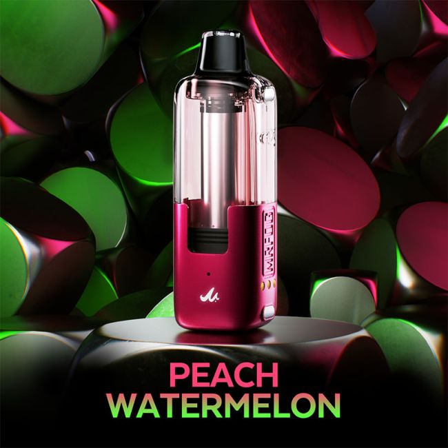 MR FOG SWITCH POD - Replacement POD - Peach Watermelon - 20mg